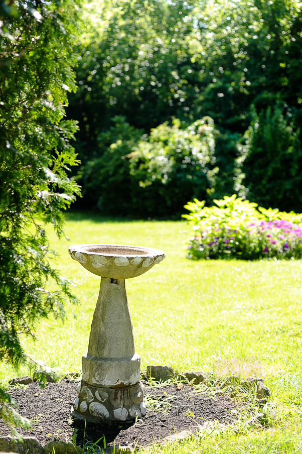 Annie Hosfeld Photography (1 of 23)